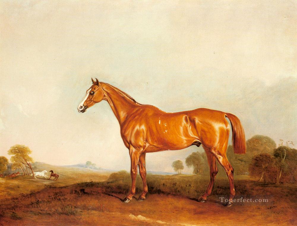 A Golden Chestnut Hunter In A Landscape horse John Ferneley Snr Oil Paintings
